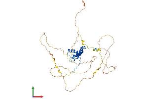 Protein Structure (PS) image for SRY (Sex Determining Region Y)-Box 11 (SOX11) (AA 1-395) protein (His tag) (ABIN7558188)