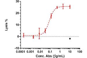 HEP3B cells were stained with anti-GPC3 / Glypican-3 Reference Antibody (codrituzumab) and negative control protein respectively, washed and then followed by PE and analyzed with FACS. (Rekombinanter GPC3 (Codrituzumab Biosimilar) Antikörper)