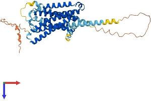 5HT1B Receptor Protein (AA 1-386) (His tag)