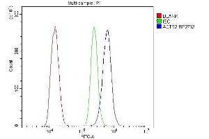 Flow Cytometry analysis of ANA-1 cells using anti-Arp2/ACTR2 antibody (ABIN7599349).