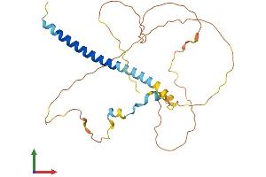 AlphaFold protein structure predicition of Human Recombinant PRR7 Protein, UniprotID Q8TB68