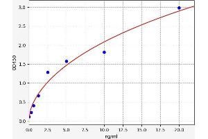 SDHD ELISA Kit