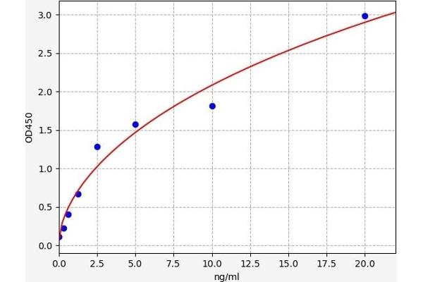 SDHD ELISA Kit