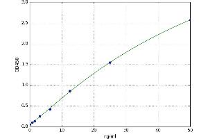 Secretogranin II (SCG2) ELISA Kit