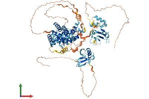 Protein Structure (PS) image for Ras and Rab Interactor 1 (RIN1) (AA 1-763) protein (His tag) (ABIN7564851)