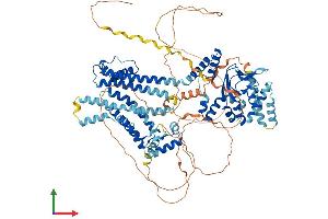 Protein Structure (PS) image for Hyperpolarization Activated Cyclic Nucleotide-Gated Potassium Channel 2 (HCN2) (AA 1-863) protein (His tag) (ABIN7562652)