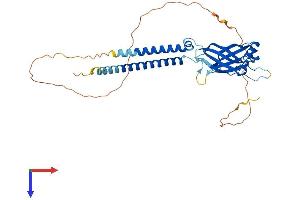 BSCL2 Protein (AA 1-383) (His tag)