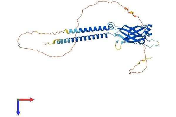 BSCL2 Protein (AA 1-383) (His tag)