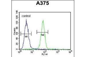 DERA Antibody (N-term) (ABIN652710 and ABIN2842470) flow cytometric analysis of  cells (right histogram) compared to a negative control cell (left histogram). (DERA Antikörper  (N-Term))