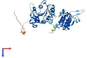 CMAS Protein (AA 1-434) (His tag)