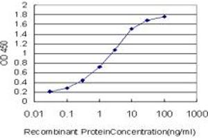 Detection limit for recombinant GST tagged SRF is approximately 0. (SRF Antikörper  (AA 406-508))