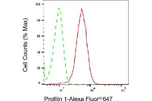 Flow cytometric analysis of Profilin 1 expression in HepG2 cells using Profilin 1 antibody (ABIN7799904), 1:2,000). (Rekombinanter PFN1 Antikörper)
