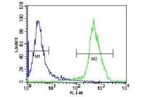 Flow Cytometry (FACS) image for anti-X-Ray Repair Complementing Defective Repair in Chinese Hamster Cells 5 (Double-Strand-Break Rejoining) (XRCC5) (AA 424-450) antibody (ABIN3029653)