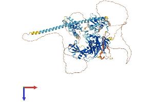 USP8 Protein (AA 1-1118) (His tag)
