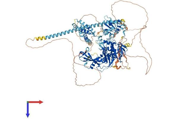 USP8 Protein (AA 1-1118) (His tag)