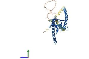 Protein Structure (PS) image for Homer Homolog 3 (Drosophila) (HOMER3) (AA 1-356) protein (His tag) (ABIN7560316)