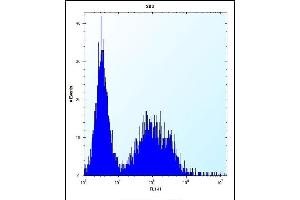 TSSK6 Antibody (C-term) (ABIN656396 and ABIN2845691) flow cytometric analysis of 293 cells (right histogram) compared to a negative control cell (left histogram). (TSSK6 Antikörper  (C-Term))