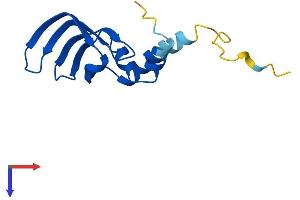 LSM10 Protein (AA 1-123) (His tag)