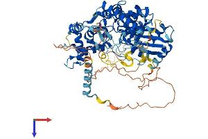 GNL1 Protein (AA 1-607) (His tag)
