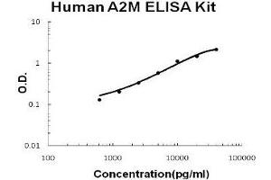 Human A2M/alpha2-Macroglobulin PicoKine ELISA Kit standard curve (alpha 2 Macroglobulin ELISA Kit)