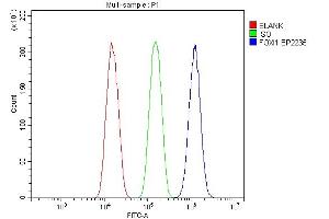 Flow Cytometry analysis of A549 cells using anti-FOXI1 antibody (ABIN7599327). (FOXI1 Antikörper  (AA 1-378))