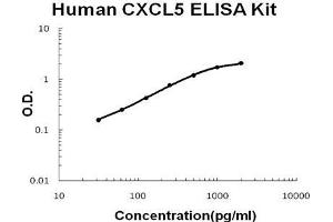 Human CXCL5/ENA-78 PicoKine ELISA Kit standard curve (CXCL5 ELISA Kit)