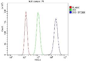 Flow Cytometry analysis of 293T cells using anti-DIO1 antibody (ABIN7599988).