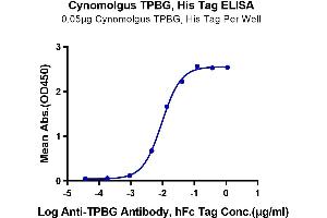 ELISA image for Trophoblast Glycoprotein (TPBG) (AA 35-355) protein (His tag) (ABIN7273783)