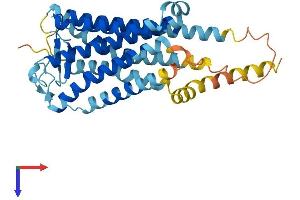 PTGDR Protein (AA 1-357) (His tag)