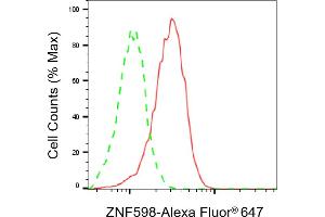 Flow cytometric analysis of ZNF598 expression in HT- cells using ZNF598 antibody (ABIN7800898), 1:2,000). (ZNF598 Antikörper)