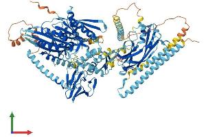AlphaFold protein structure predicition of Mouse Recombinant Kif28p Protein, UniprotID D3YXS5 (KIF28P (AA 1-1028) protein (His tag))