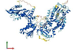 AlphaFold protein structure predicition of Mouse Recombinant Slfn14 Protein, UniprotID V9GXG1