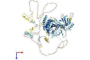 AlphaFold protein structure predicition of Human Recombinant INTS6L Protein, UniprotID Q5JSJ4
