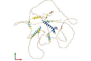 Protein Structure (PS) image for Doublesex and Mab-3 Related Transcription Factor 2 (DMRT2) (AA 1-561) protein (His tag) (ABIN7564330)