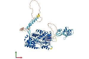 Protein Structure (PS) image for Cleavage and Polyadenylation Specific Factor 2, 100kDa (CPSF2) (AA 1-782) protein (His tag) (ABIN7553546)