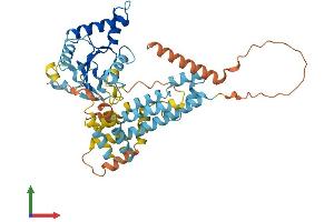 Protein Structure (PS) image for Immunity-Related GTPase Family, Cinema (IRGC) (AA 1-463) protein (His tag) (ABIN7548511)