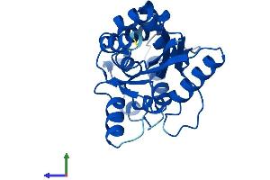Protein Structure (PS) image for Phosphatase, Orphan 2 (PHOSPHO2) (AA 1-241) protein (His tag) (ABIN7561178)