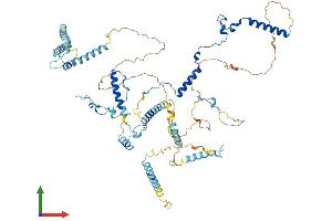 Protein Structure (PS) image for M-Phase phosphoprotein 10 (U3 Small Nucleolar Ribonucleoprotein) (MPHOSPH10) (AA 1-681) protein (His tag) (ABIN7549553)