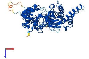 ACTR3B Protein (AA 1-418) (His tag)