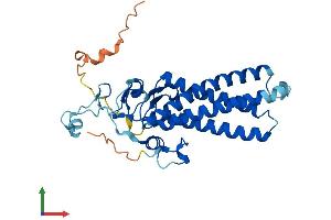 AlphaFold protein structure predicition of Human Recombinant ZDHHC3 Protein, UniprotID Q9NYG2