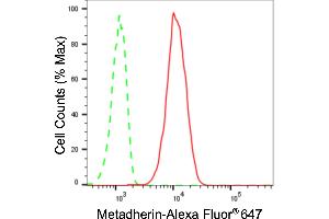Flow cytometric analysis of Metadherin expression in C2C12 cells using Metadherin antibody (ABIN7799374), 1:2,000). (Rekombinanter MTDH Antikörper)