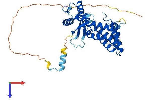 SNX20 Protein (AA 1-316) (His tag)