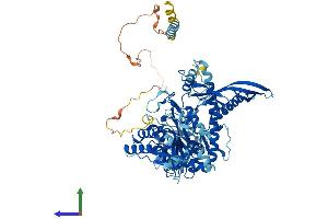 Protein Structure (PS) image for Chondroitin Polymerizing Factor (CHPF) (AA 1-774) protein (His tag) (ABIN7564050)