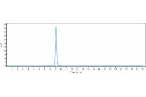 The purity of Anti-SLC7A11 Reference Antibody (Agilvax Patent Anti-Slc7A11) is more than 95 % , determined by SEC-HPLC.