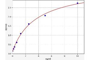 Typical standard curve (MKL1 ELISA Kit)