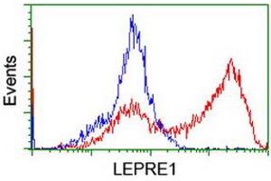 HEK293T cells transfected with either RC222535 overexpress plasmid (Red) or empty vector control plasmid (Blue) were immunostained by anti-LEPRE1 antibody (ABIN2455935), and then analyzed by flow cytometry. (LEPRE1 Antikörper)