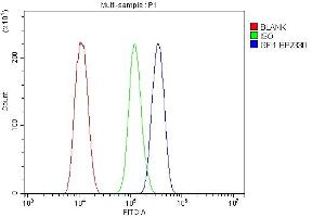 Flow Cytometry analysis of THP-1 cells using anti-GFI1 antibody (ABIN7599380).