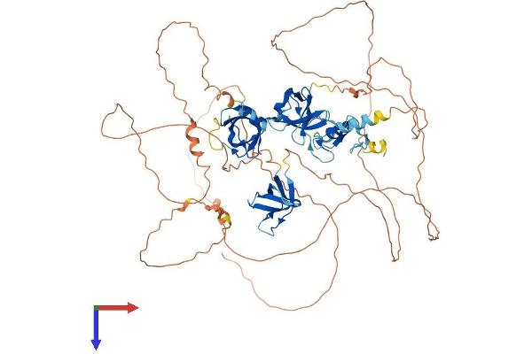 SH3RF2 Protein (AA 1-729) (His tag)