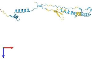 MPHOSPH6 Protein (AA 1-160) (His tag)