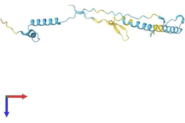 MPHOSPH6 Protein (AA 1-160) (His tag)